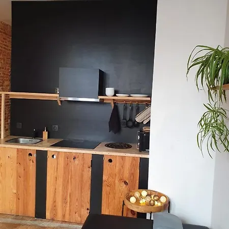 Appartement Den Gulden Hoorn à Anvers Extérieur photo